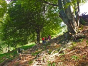 15 e qui termina il bosco di faggeta